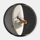 Suche nach ameisen magnete Spaß