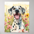 Suche nach gepunktete hunde poster Dalmatinisch
