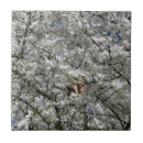 Suche nach blühen fliesen Baum