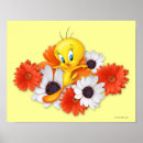 Suche nach tweety poster Blume