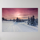 Suche nach eis poster Wald