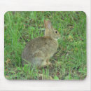 Suche nach stillstehen mousepads Natur