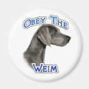 Suche nach weimaraner magnete Grau