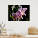 Suche nach kolumbien poster Blume