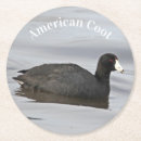 Suche nach cooter Natur