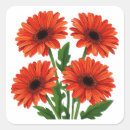 Suche nach roter gerbera aufkleber Gänseblümchen
