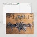 Suche nach zebras postkarten Nationalpark