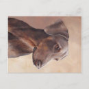Suche nach pinscher postkarten Haustier