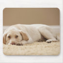 Suche nach stillstehen mousepads Zuhause
