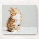 Suche nach schauen mousepads Haustier