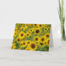 Suche nach field karten Sonnenblume