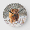 Suche nach schottisch wanduhren Kuh