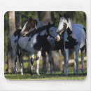 Suche nach malen sie pferde mousepads Foto