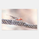 Suche nach finken aufkleber Tierwelt
