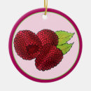 Suche nach himbeeren ornamente Sommer