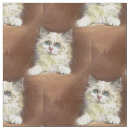 Suche nach flickenpuppe Katze
