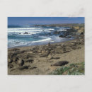 Suche nach elephant postkarten Strand