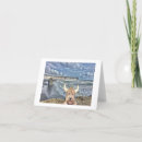 Suche nach meerblick Reise