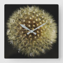 Suche nach dandelion wanduhren Löwenzahn