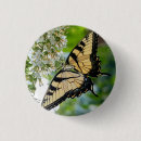 Suche nach schwarze flügel buttons Schmetterling