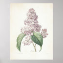 Suche nach vintage lila poster Viktorianisch