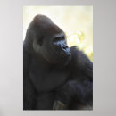 Suche nach bedrohte tiere poster Natur