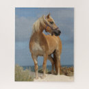 Suche nach haflinger puzzle Strand
