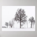 Suche nach piemonte poster Baum