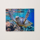 Suche nach korallenriff puzzle Strand