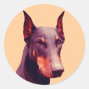 Suche nach doberman aufkleber Pinscher