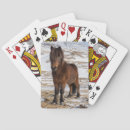 Suche nach isländisch spielkarten Pony