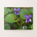 Suche nach ladybug puzzle Insekt