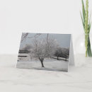 Suche nach eissturm Baum