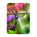 Suche nach dragonfly magnete Tierwelt