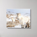 Suche nach icelandic poster Superstock