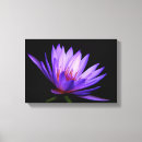 Suche nach lila hintergrund leinwandbilder Natur