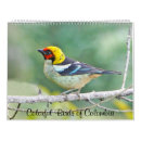 Suche nach bunt kalender Vögel