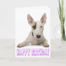 Suche nach bull terrier karten Welpe
