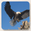 Suche nach flug untersetzer Raubtier