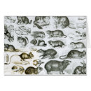 Suche nach rodentia Englisch
