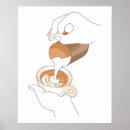 Suche nach latte poster Coffee