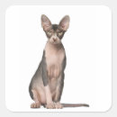 Suche nach sphynx aufkleber Niedlich