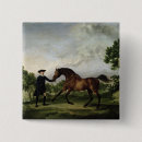 Suche nach stallion buttons Wild