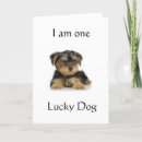 Suche nach yorkie geburtstag karten Hund