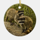 Suche nach enten schmuck Dekorationen