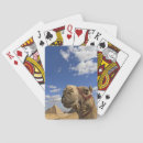 Suche nach ägypten spielkarten Kairo