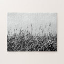 Suche nach dünen puzzle Landschaften