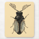 Suche nach käfer mousepads Insekt
