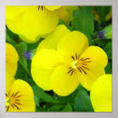 Suche nach jump poster Panik