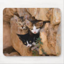 Suche nach knuddelig mousepads Süß